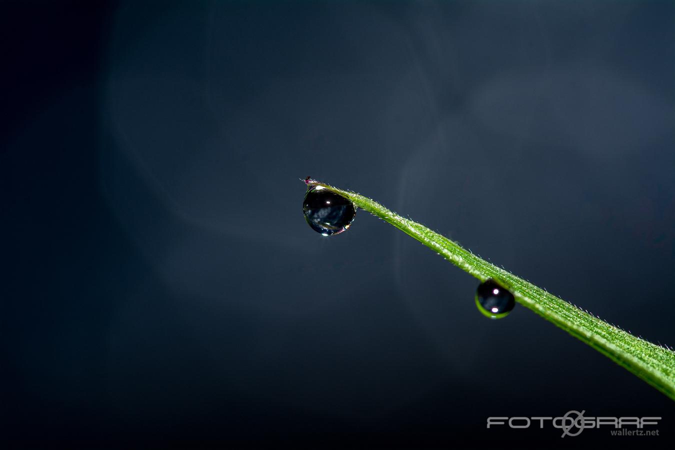 Waterdrops