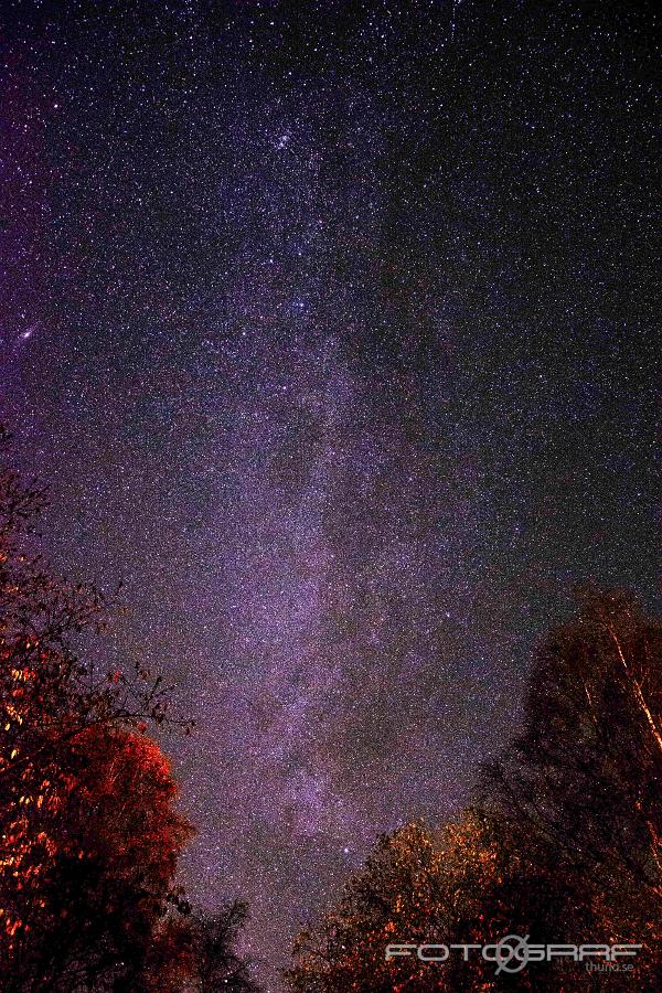 Milyway Milkyway at springtime