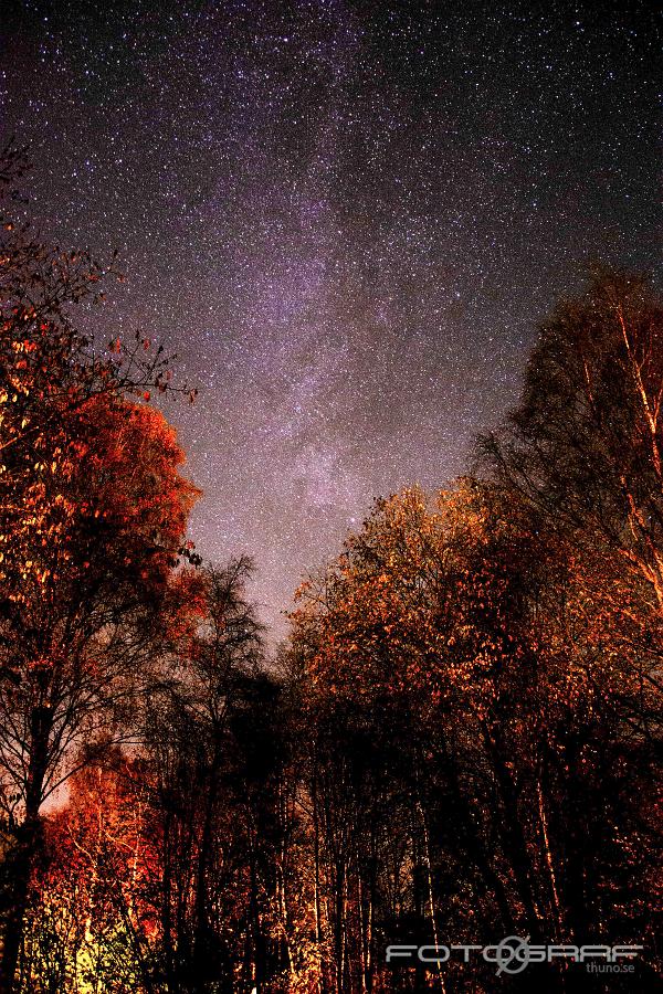 Milyway Milkyway at springtime